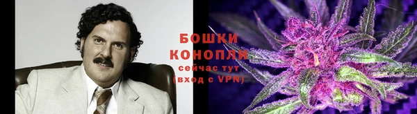 тгк Апатиты