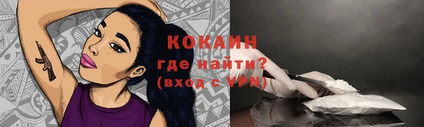 тгк Няндома