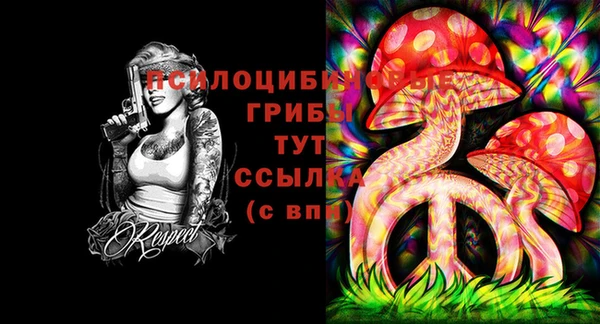 Альфа ПВП Остров