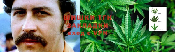 тгк Апатиты