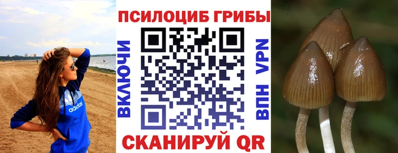 mega сайт  Татарск  Псилоцибиновые грибы GOLDEN TEACHER 