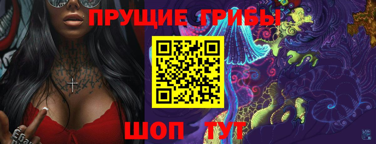 Татарск  Псилоцибиновые грибы Cubensis  Вход с VPN 
